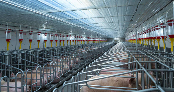 14f6b2452cda06439d334a500836ead.jpg 14f6b2452cda06439d334a500836ead.jpg