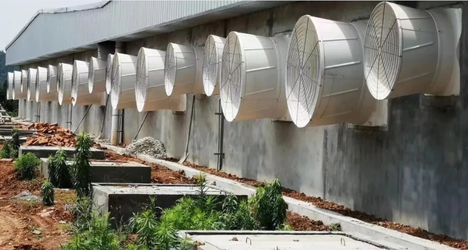 精準(zhǔn)通風(fēng)，賦能高效養(yǎng)殖—畜牧專用風(fēng)機(jī)